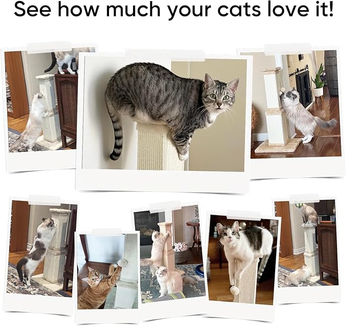 Cat Scratching Post, 32 Inch Cat Scratching Posts for Large Cats, Scratching Posts for Indoor Cats Adults, Cat Scratch Post with Nature Sisal, Full Gray