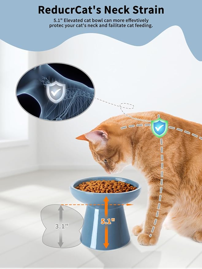 LoeJan Elevated Cat Food and Water Bowls Set, Extra Wide and Raised Ceramic Feeder, Anti-Vomit Whisker-Free Pressure Feeding Bowl for Kittens Adult Small Dogs, Deep Blue