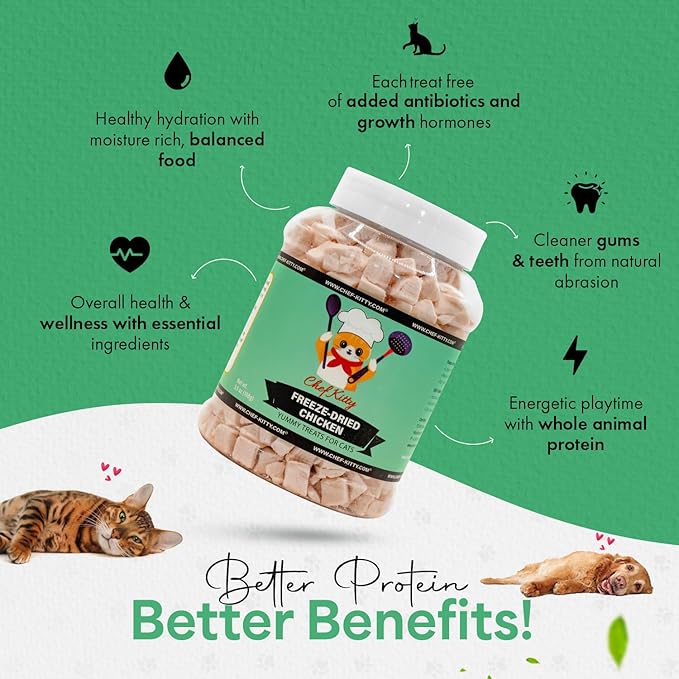 Freeze Dried Chicken Cat Treats | Healthy Dog Food Toppers 100% Human Grade | Single Ingredient, Grain Free Chicken Dog Treats | Inspected & Tested in USA | No Additives or Preservatives, 3.5 oz ASIN