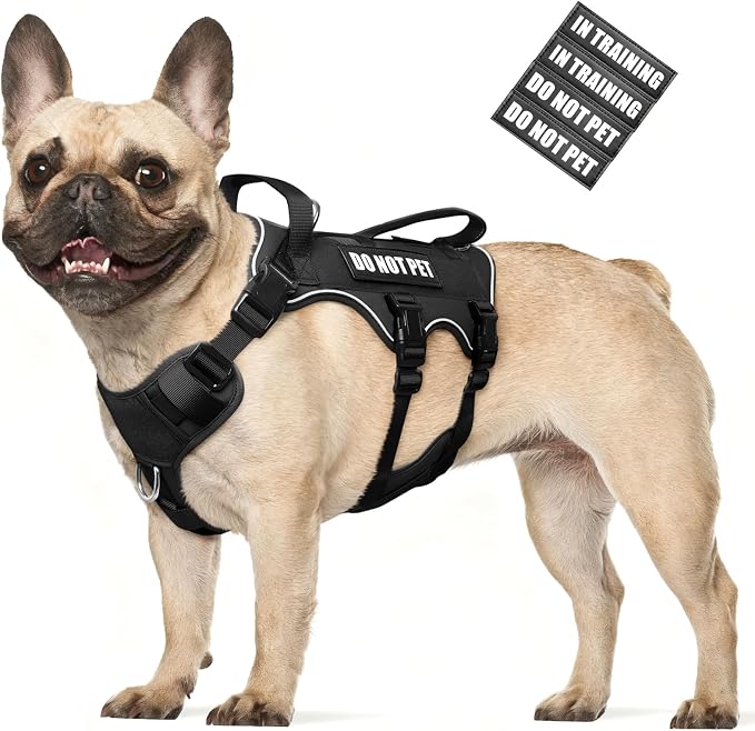Escape Proof Dog Harness with Double Handle+4 Removable Patches | Service Working Molle Harness with Double Handle for Medium Dogs, Tactical Pet Reflective Vest for Walking Hiking Hunting