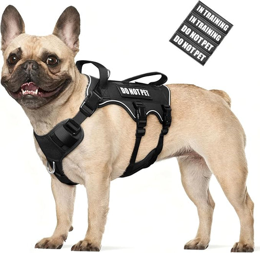 Escape Proof Dog Harness with Double Handle+4 Removable Patches | Service Working Molle Harness with Double Handle for Medium Dogs, Tactical Pet Reflective Vest for Walking Hiking Hunting