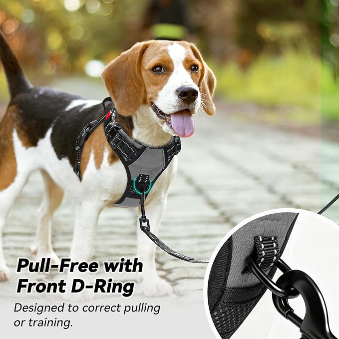 PoyPet No Pull Dog Harness Large with Front Clip & Neck Release Buckle | No Choke, Adjustable Vest, Reflective, Back Clip, Lockable, Soft Padded, Easy Control Handle for Walking Training, XL, Grey