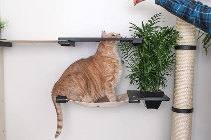 CatastrophiCreations Mini Garden - Multiple-Level Cat Hammock & Climbing Activity Center Wall-Mounted Cat Tree Shelves English Chestnut/Charcoal