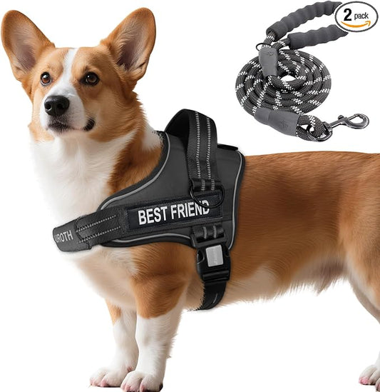 AUROTH Dog Harness and Leash Set Small Sized Dog, No Pull Escape Proof Vest | with Leash Clips, LED light clip, Breathable Mesh Padded No Choke, Easy Walking and Training, Black, Small