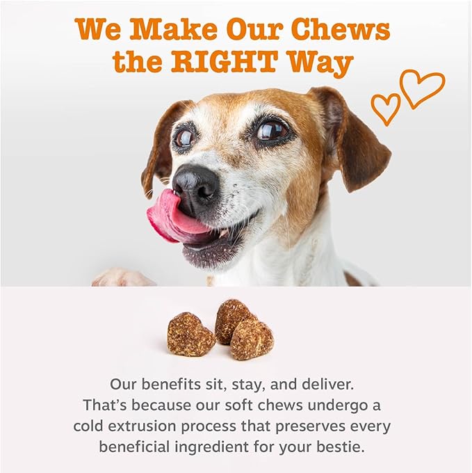 Zesty Paws Cranberry Supplement for Dogs - Bladder Control for Dogs - Urinary Tract Support - Cranberry Chews - Immune & Gut Support - Chicken - 90 Count