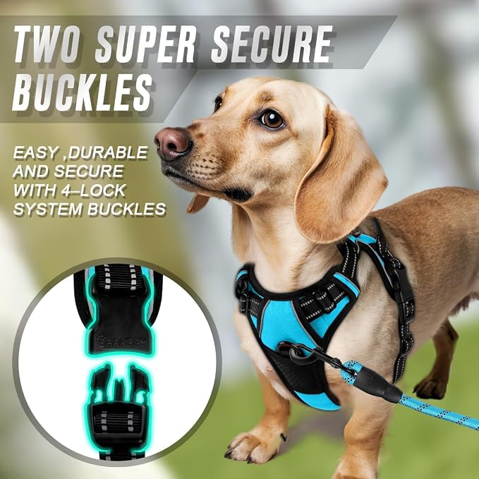 BARKBAY Dog Harness No Pull for Small Sized Dog Front Back Clips,Dog Vest | Soft Padded No Choke With Handle,Easy On&Off,Adjustable Reflective For Walking Training Running(Blue,XS)