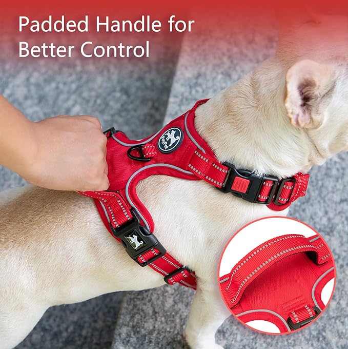 PoyPet No Pull Dog Harness, Reflective Vest with 2 Leash Clips & Handle | Lockable Neck Release Buckle, No Choke, Adjustable, Soft Padded, for Walking Training, Red Matching Trim, X-Large