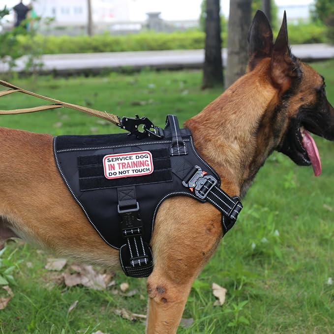 ICEFANG Tactical Dog Harness for Large Dogs,Reflective No Pull Dog Vest | with Control Handle,Adjustable,Front Hook,2 Leash Clips,Soft Padded,MOLLE Panel,Black,Large
