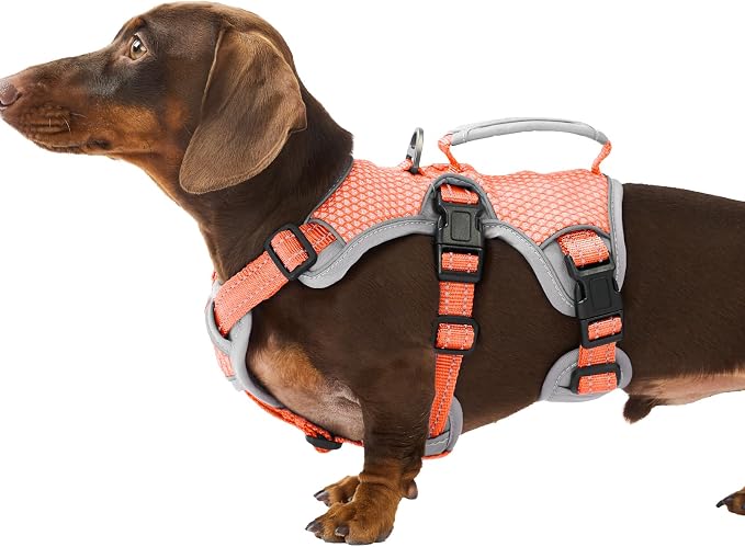 Escape Proof Dog Harness, Dachshund Harness, Reflective Dog Harness with Handle, Durable,Adjustable Vest for Small Medium Large Dogs Walking, Training, and Running Gear (Orange,S)