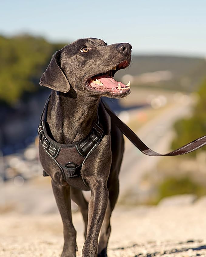 Joytale No Pull Dog Harness for Extra Large Dogs, Front Clip, Brown | Grab Handle for Instant Control, Padded & Adjustable Vest, Sturdy Metal D-Rings, for Safe Training & Daily Walking
