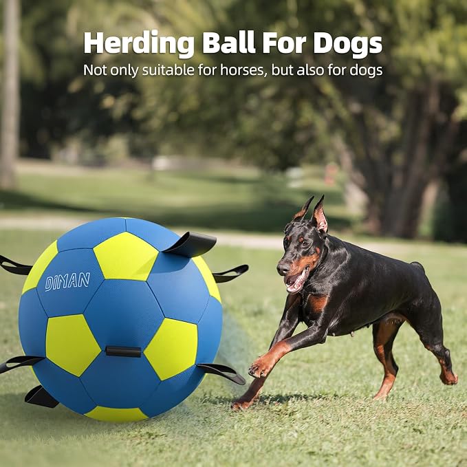 Diman Herding Ball for Dogs: 25 Inch Horse Balls for Outdoor Play, Large Dog Toys Balls for Australian Shepherd, Dogs or Horses, Blue Yellow