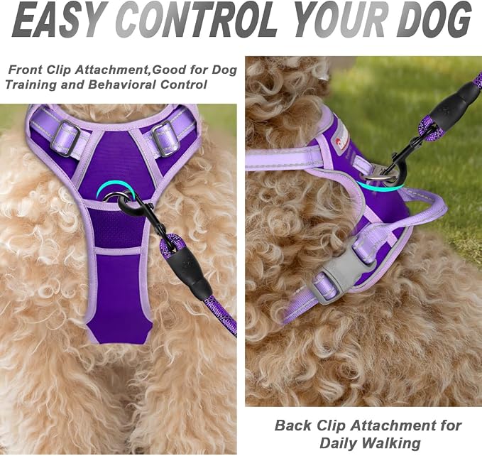 BARKBAY Dog Harness No Pull for Small Sized Dog Front Back Clips,Dog Vest | Soft Padded No Choke With Handle,Easy On&Off,Adjustable Reflective For Walking Training Running(Violet Purple & Purple,XS)