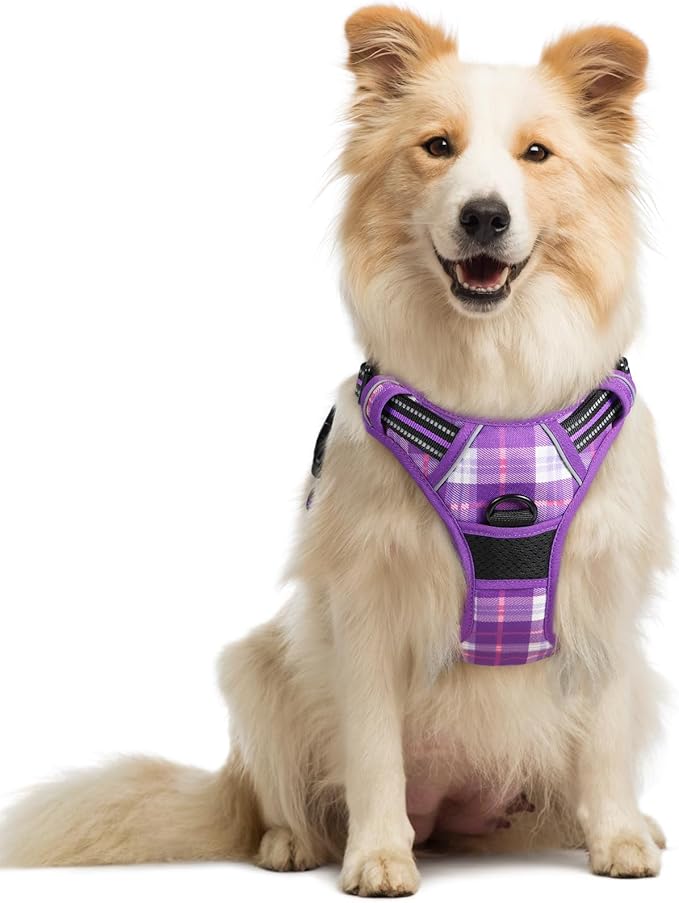 rabbitgoo Dog Harness, No Pull Medium Sized with 2 Leash Clips, Pet Vest | No Choke with Handle, Adjustable Soft Padded, Reflective, Easy Control for Walking, Purple Plaid, Medium