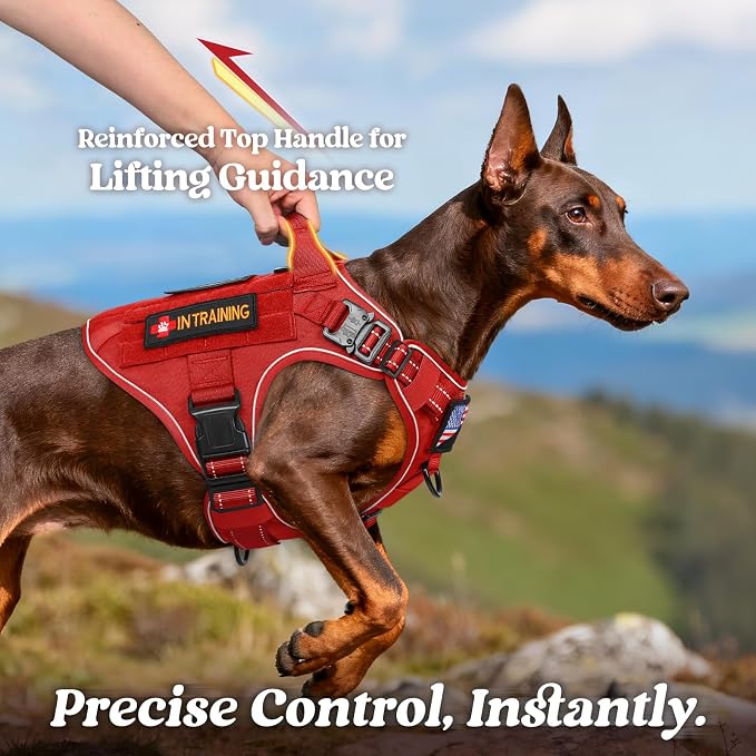 rabbitgoo Tactical Dog Harness for Large, Heavy Duty Military No Pull Vest | Sturdy Metal Buckles, 5 Adjustments, Molle System, Powerful Pullers for Training, Hunting, Outdoor, Red Reflex, Large