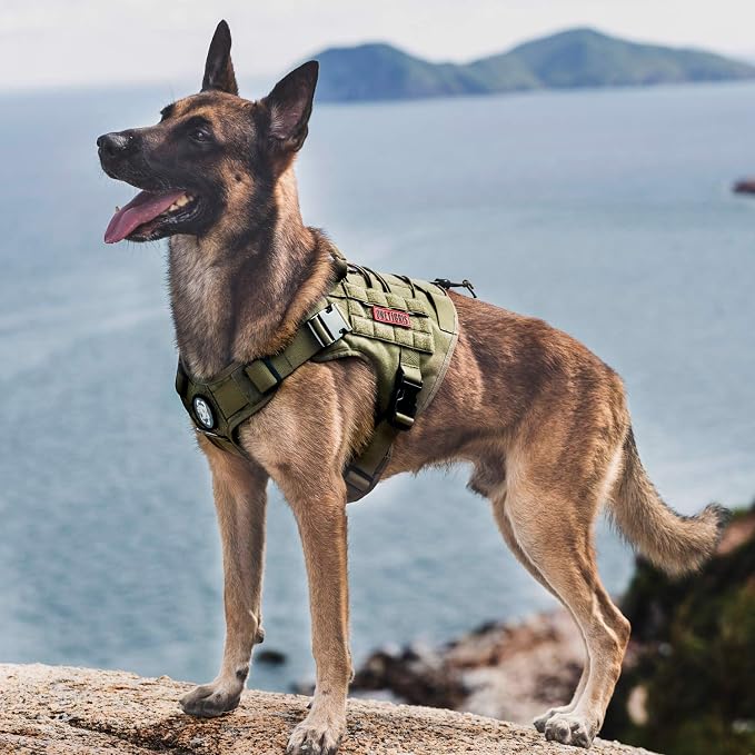 OneTigris Tactical Dog Harness, Full Body Harness with Handle for Large Dog | Heavy Duty Dog Vest for Hiking Training Outdoor Military 1000D Pullable Nylon, Service Vest with Hook & Loop Panels Green L