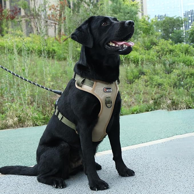 XL Tactical Dog Harness No Pull Adjustable Puppy Vest Collar for Large Dogs, Heavy Duty Oxford Training Harnesses with Handle, Medium and Small Size Reflective Pet Collars for Walking, Running