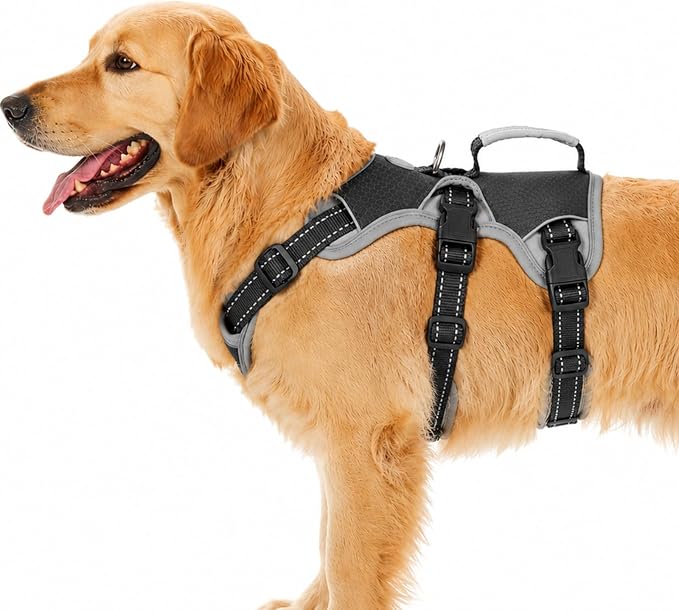 Escape Proof Dog Harness, Dachshund Harness, Reflective Dog Harness with Handle, Durable,Adjustable Vest for Small Medium Large Dogs Walking, Training, and Running Gear (Black,L)