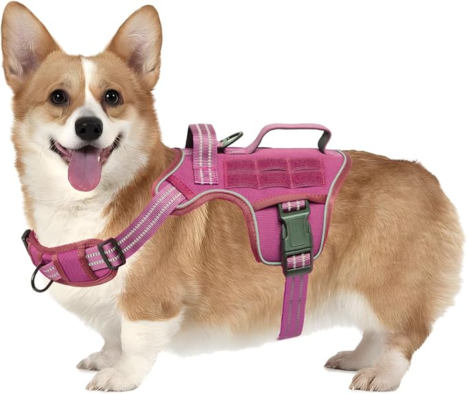Dog Harness, Tactical No Pull for Small Sized Dog with Handle | Breathable Soft Padded, Adjustable, Reflective, Molle System, Heavy Duty, No Choke for Walking Training, Pink Small