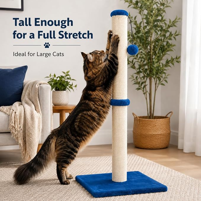 Dimaka 34" Height Tall Cat Scratching Post, Claw Scratcher with Sisal Rope and Covered with Soft Smooth Plush, Vertical Scratch [Full Strectch] Cats (Blue, 34 inches for Large Cats)