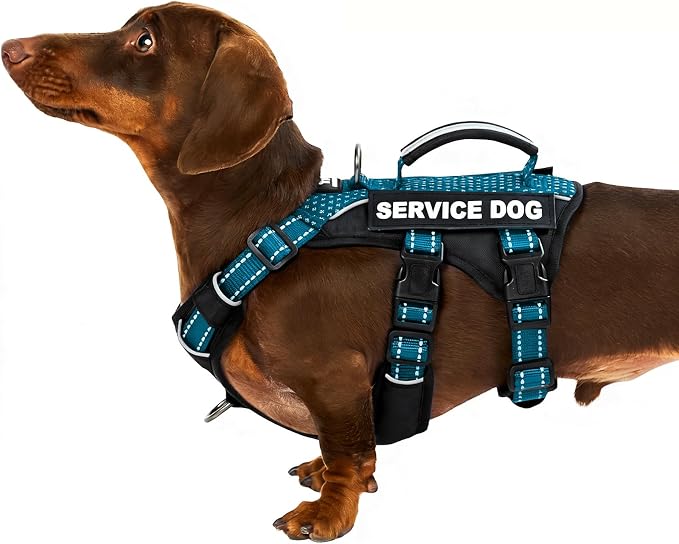 Service Dog Vest Harness, Escape Proof Harness with 6 Patches, No-Pull, Reflective Harness with Handle, Adjustable for Small to Large Dogs, for Training and Hiking (Teal, XS)