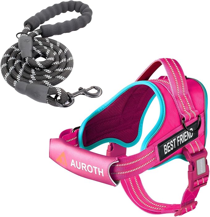 AUROTH Dog Harness for Large Dogs No Pull Tactical Harness and Leash Set | with Leash Clips, LED light clip, Breathable Mesh Padded No Choke, Easy Walking and Training, Rose Red, Large