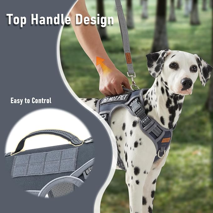 AUNZO No-Pull Dog Harness for Small Dog Breeds, Anti-Escape Easy Walking Reflective Adjustable Lightweight Dog Vest with Breathable Oxford Material, Easy on Easy Off with Neck Buckle, Gray XS