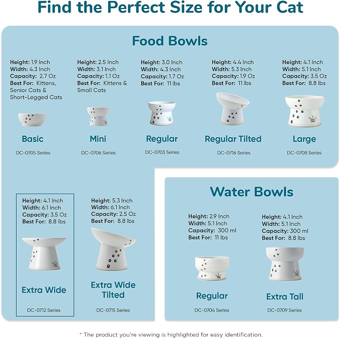 Necoichi Elevated Cat Food Bowl, Ceramic (Porcelain), Whisker-Friendly, Dishwasher & Microwave Safe, Non-Slip Silicone Base, Anti-Vomiting & Neck Fatigue (Sakura Floral, Extra Wide)