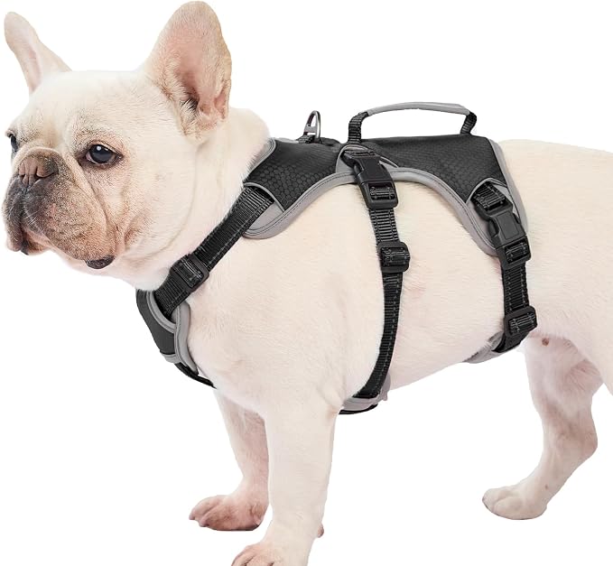 Escape Proof Dog Harness, Dachshund Harness, Reflective Dog Harness with Handle, Durable,Adjustable Vest for Small Medium Large Dogs Walking, Training, and Running Gear (Black,M)