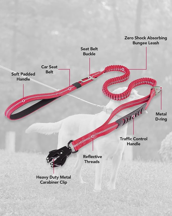Joytale Tactical Bungee Dog Leash, Shock Absorbing No Pull, Hot Pink | For Large Dogs That Pull, 2 Padded Handles for Control, Car Seatbelt Clip, Reflective for Night Safety, Metal Frog Clip