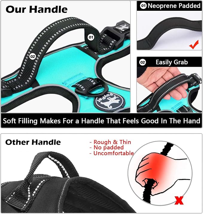 PoyPet No Pull Dog Harness Medium with Front Clip & Neck Release Buckle | No Choke, Adjustable Vest, Reflective, Back Clip, Lockable, Soft Padded Handle for Walking Training, M, Mint Blue