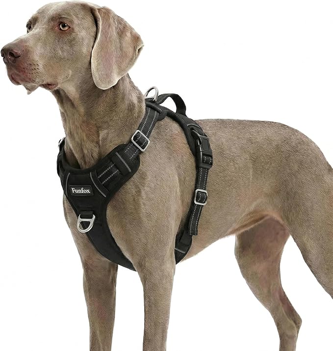 Dog Harness for X-Large Dog No Pull, Adjustable Pet Vest Harness, Vertical Handle Easy Control with 2 Leash Clips, Soft Material, Reflective Safe Night Walking for X-Large Size, Black, XL