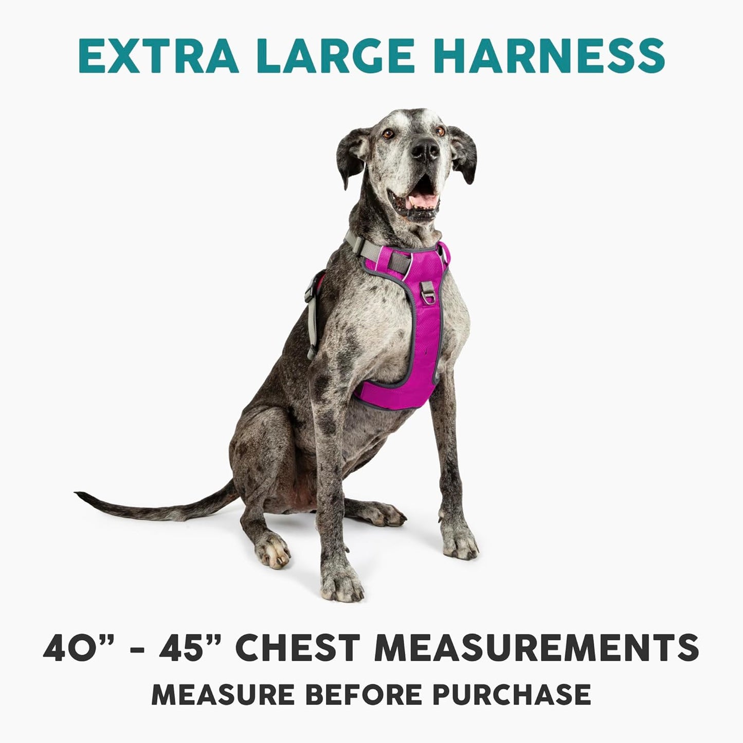 Embark Adventure Dog Harness, Reflective Trim XL Dog Harness for Extra Large Dogs No Pull - Military Grade Nylon, 2 Leash Clips & Gel Lined Handle.