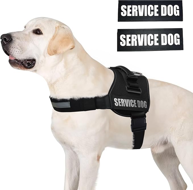 Service Dog Vest Harness – Reflective Service Animal Vest with Handle, No-Pull Adjustable Mesh Padding – XXS–XL – 2 Removable Patches. (Large, Black)