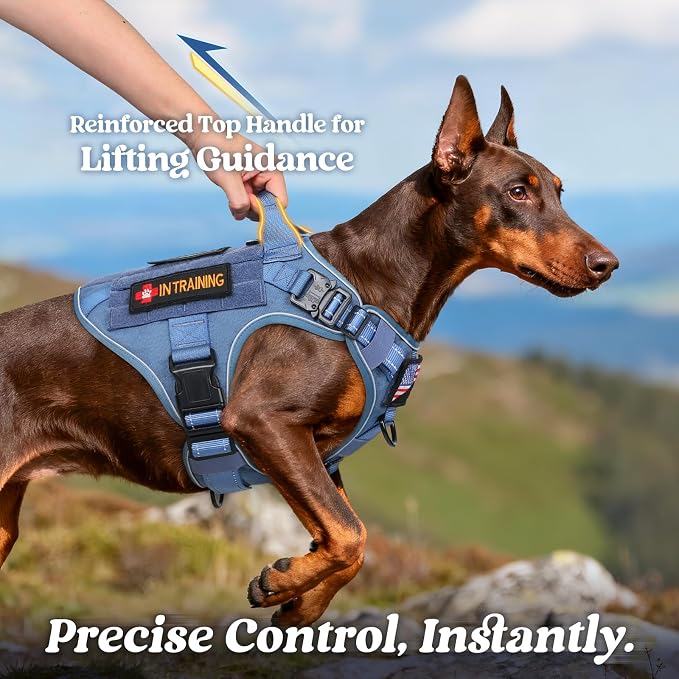 rabbitgoo Tactical Dog Harness for Medium, Heavy Duty Military No Pull Vest | Sturdy Metal Buckles, 5 Adjustments, Molle System, Powerful Pullers for Training, Hunting, Outdoor, Blue Reflex, Medium