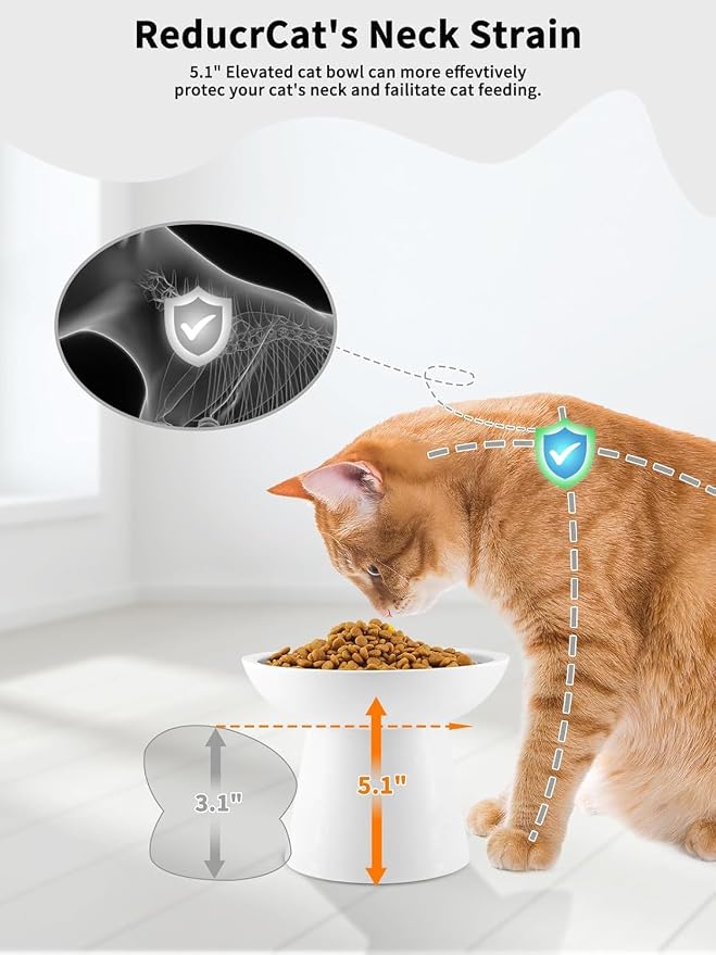 LoeJan Elevated Cat Food and Water Bowls Set, Extra Wide and Raised Ceramic Feeder, Anti-Vomit Whisker-Free Pressure Feeding Bowl for Kittens Adult Small Dogs