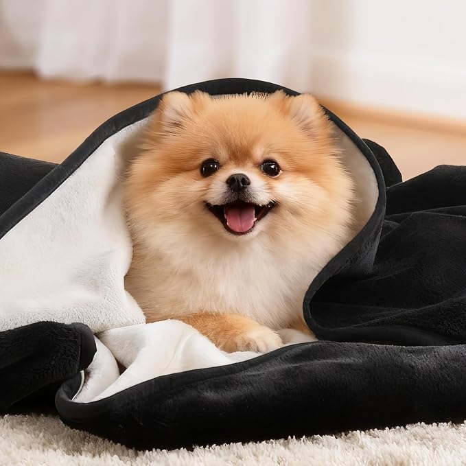 LOOBANI Waterproof Dog Blanket for Couch, Soft Couch Cover 50" x 60" Black | Pet Blanket for Medium Large Dogs, Double Side Liquid-Proof, Reversible Flannel Bed Throw for Sofa, Travel, Hair Resistant