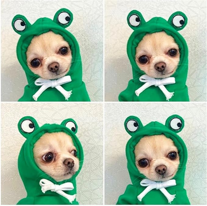 Warm Dog Winter Clothes Cute Fruit Dog Coat Hoodies Fleece Pet Dogs Costume Jacket for French Bulldog Chihuahua Ropa para Perro(Green,M)