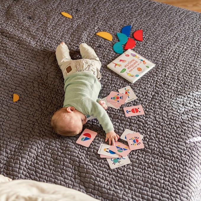 PAULATO BY GA.I.CO. Waterproof Blanket for Bed – Queen Absorbent Couch Cover – Machine Washable Stain-Proof Pad for Large Sofa – Pets Dogs & Cats Friendly Protector - Dark Grey