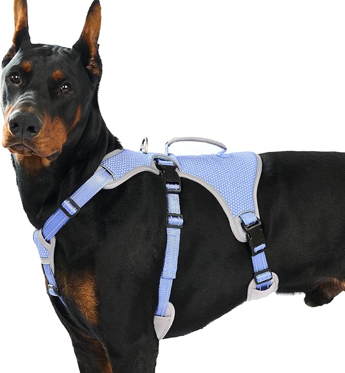 Escape Proof Dog Harness, Dachshund Harness, Reflective Dog Harness with Handle, Durable,Adjustable Vest for Small Medium Large Dogs Walking, Training, and Running Gear (Technicolor Blue,XL)