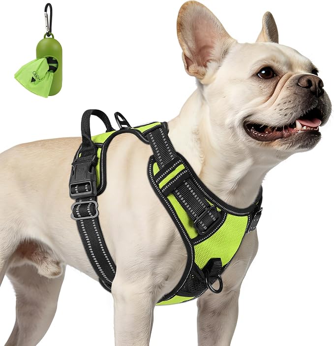 Joytale No Pull Dog Harness for Small Dogs, Front Clip, Green | Grab Handle for Instant Control, Padded & Adjustable Vest, Sturdy Metal D-Rings, for Safe Training & Daily Walking