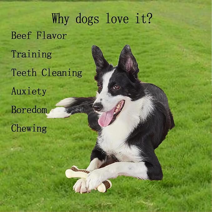 BETTEPROD Dog Chew Bones Toys for Aggressive Chewers, 6 Pack Real Beef Flavor Bones,Indestructible Dog Toys for Large/Medium Breed, NylonToys