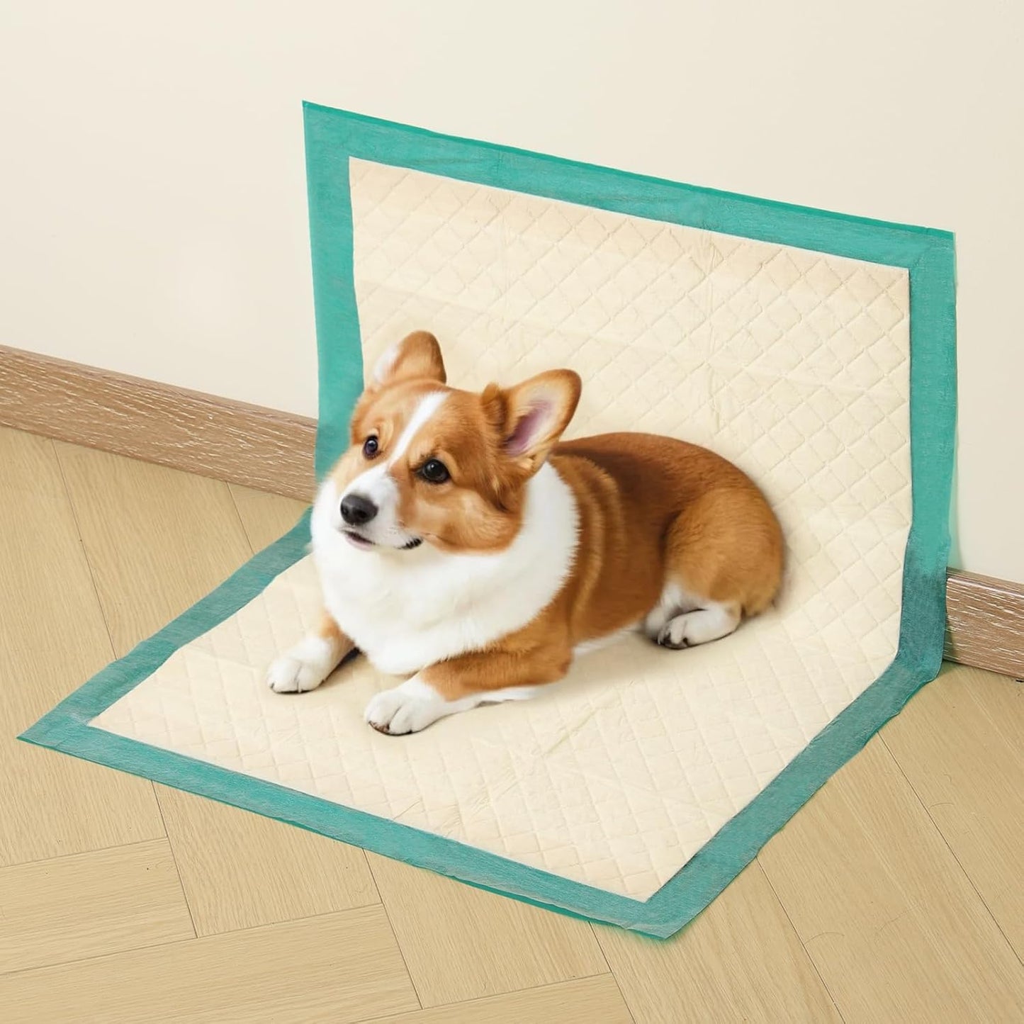 Gardner Pet Puppy Pee Pads Large 18"x24", 10 Count, Dog Pee Pads with Adhesive Sticky Tape, Max Absorbency, Leak Prevention Disposable Training Bed Pad for Doggie, Cats, Rabbits, Crate/Cage