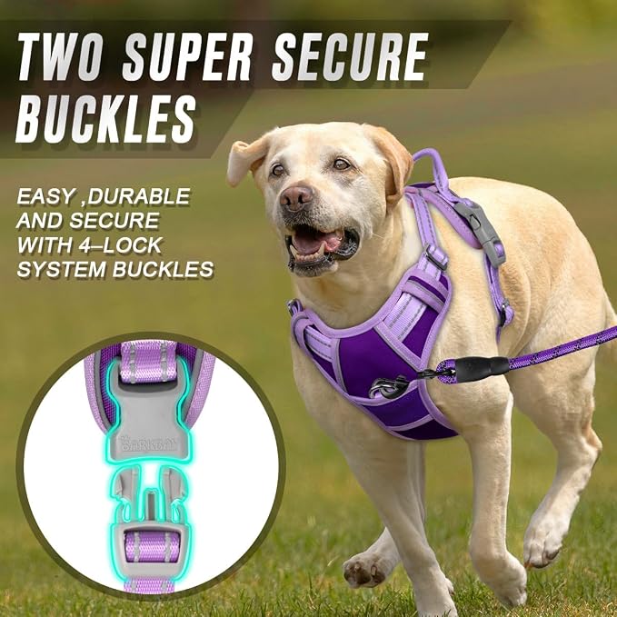 BARKBAY Dog Harness No Pull for Medium Sized Dog Front Back Clips,Dog Vest | Soft Padded No Choke With Handle,Easy On&Off,Adjustable Reflective For Walking Training Running(Violet Purple & Purple,M)