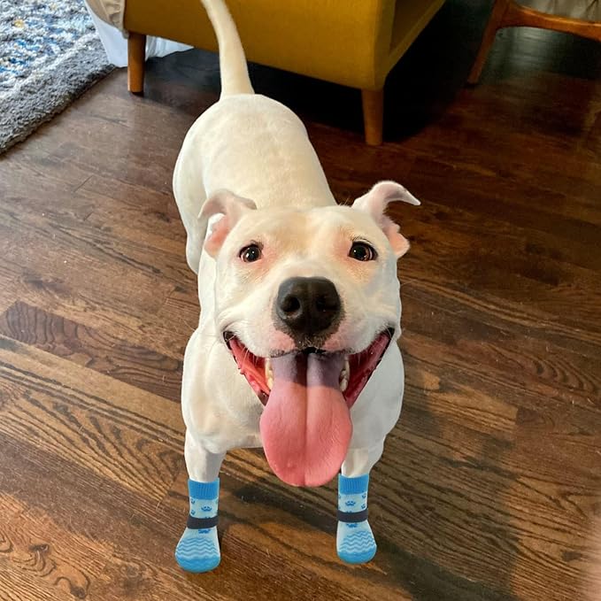EXPAWLORER 6Pcs Anti Slip Dog Socks to Prevent Licking Paws, Dog Shoes for Hot Pavement Double Sides Dog Boots & Paw Protectors Booties for Hardwood Floors with Grip Small Medium Large Senior Dogs, S