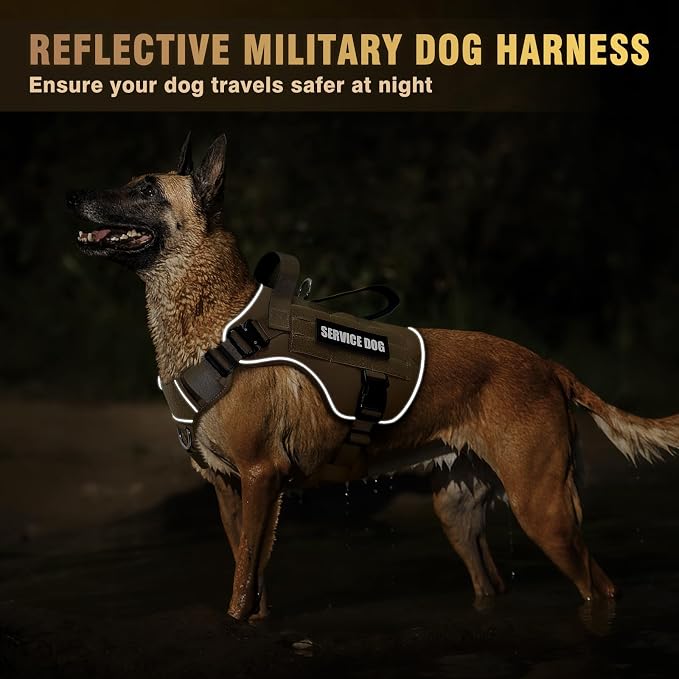 2X Metal Buckle Service Working MOLLE Dog Vest with 10 Pet Patches | Tactical Dog Harness for Large Dog, No-pull Military Working Vest for Training Hunting Walking，2x D Rings for Leash Clip