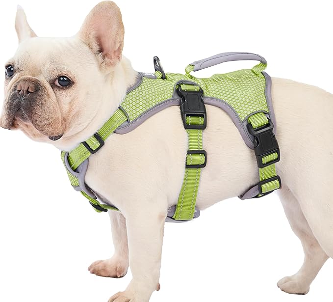 Escape Proof Dog Harness, Dachshund Harness, Reflective Dog Harness with Handle, Durable,Adjustable Vest for Small Medium Large Dogs Walking, Training, and Running Gear (Green,M)