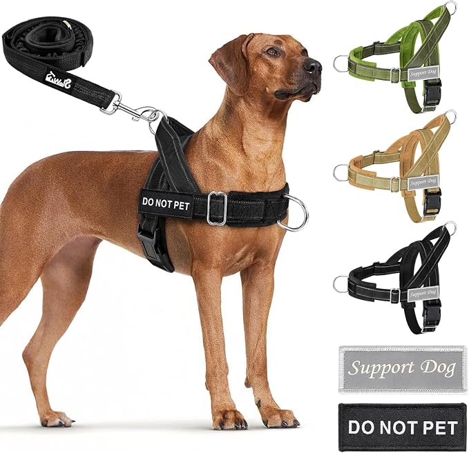 SlowTon No Pull Dog Harness with Front Clip - Heavy Duty, Soft Padded | Neck & Chest Adjustable, Tactical Pet Vest and Leash Set for Large Medium Sized Dogs, for Easy Walk & Training, Black XL