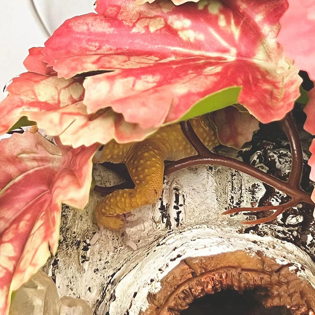 Reptile Plants for Terrarium Decor, Amphibian Habitat Decor, Reptile Tank Accessories, Artificial Hanging Plants with Suction Cup-2 Packs (Pink Heuchera Micrantha)