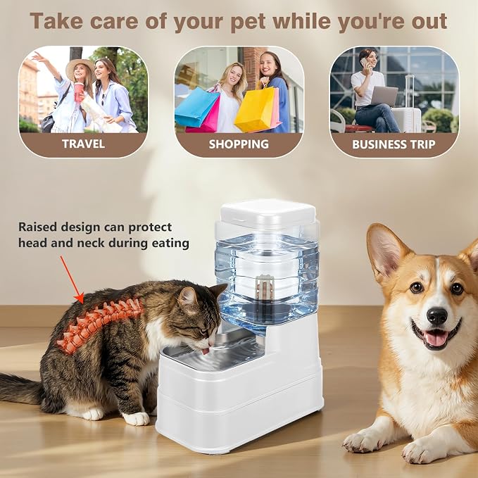 1.6 Gallon Pet Automatic Dog Water Dispenser Cat Gravity Waterer Feeder with Stainless Steel Bowl 8L Large Capacity Puppy Feeding Raised Bowls with Filter,Ice Pack (White, 6L(1.6 Gallon))