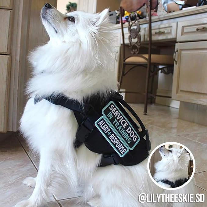 OneTigris Tactical Dog Harness XS Small Dog Vest with Handle | Military XS dog harness with vertical control handle. Soft fleece padding & quick-release. Ideal for training & walks.